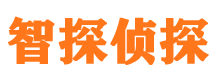 伊川出轨调查